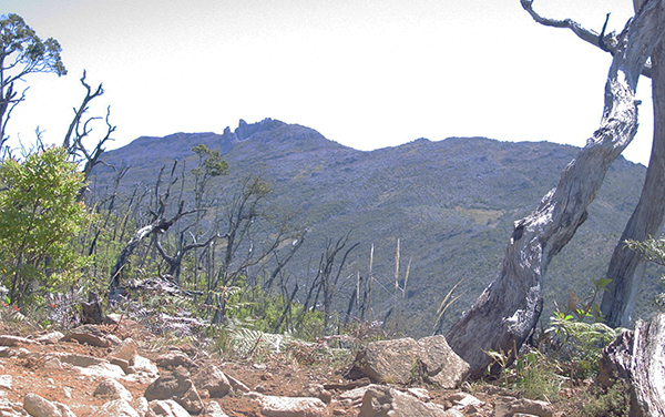 Ingreso a los Quemados : Parque Nacional Chirripo