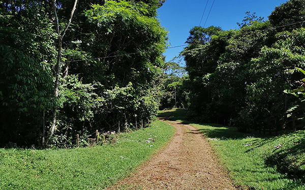 Escenarios Reserva Ecológica Bijagual, Heredia, Costa Rica