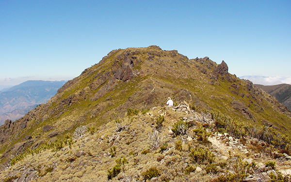 Sendero Cerro Ventisqueros : Parque Nacional Chirripo