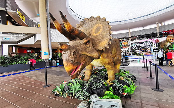 Triceratop Show de Dinosaurios - Oxigeno Human Playground - Hotels Costa  Rica