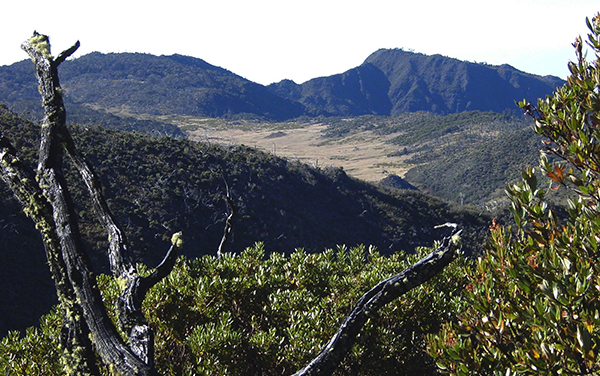 Vista desde Los Quemados Sabana los Leones : Parque Nacional Chirripo